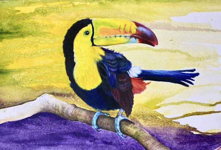 toucan art by Anthony Burks