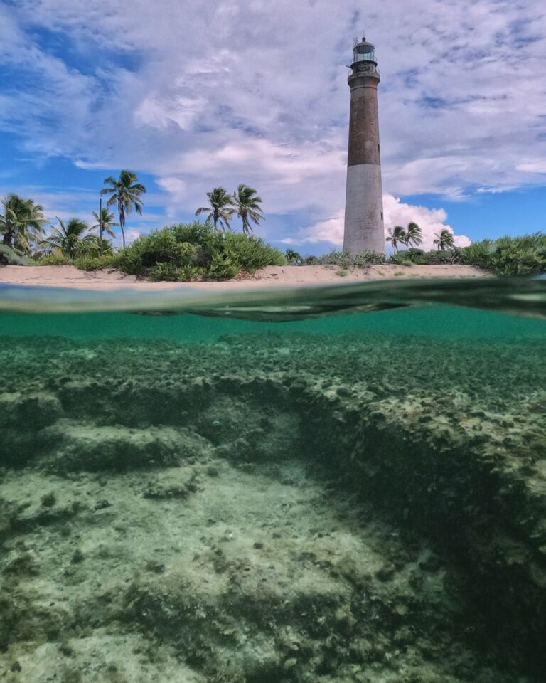 Dry Tortugas Lighthouse by Carl Stoveland