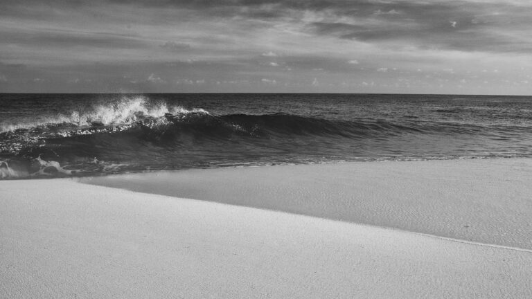 Dry Tortugas photo by Carl Stoveland