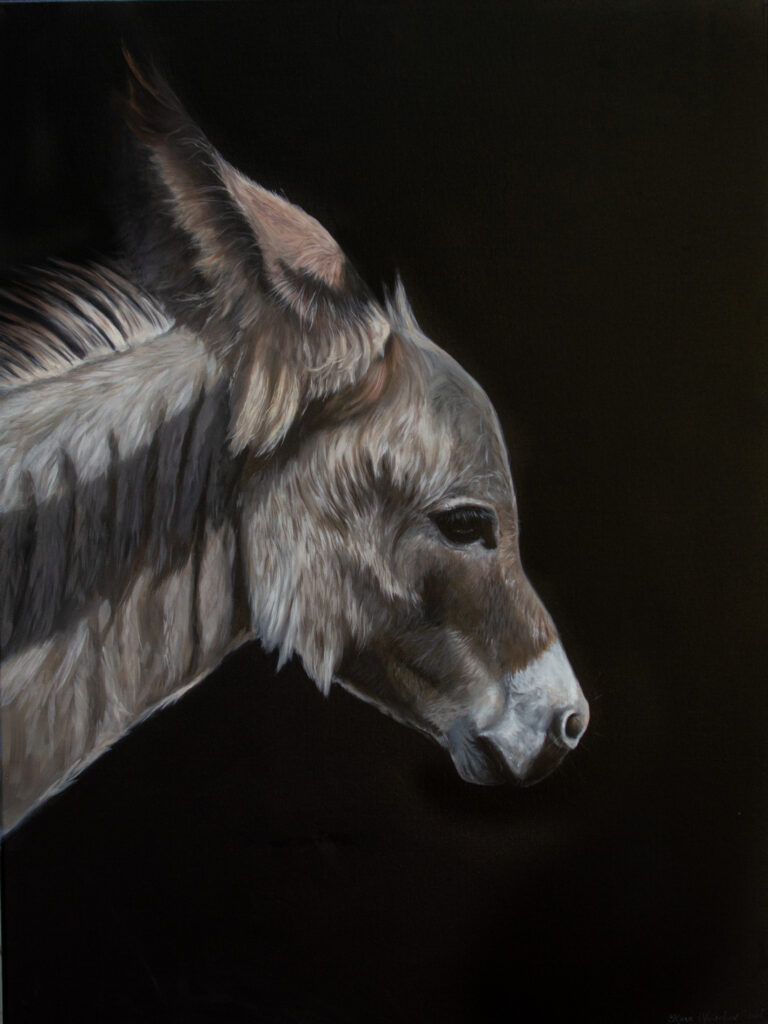 Donkey painting