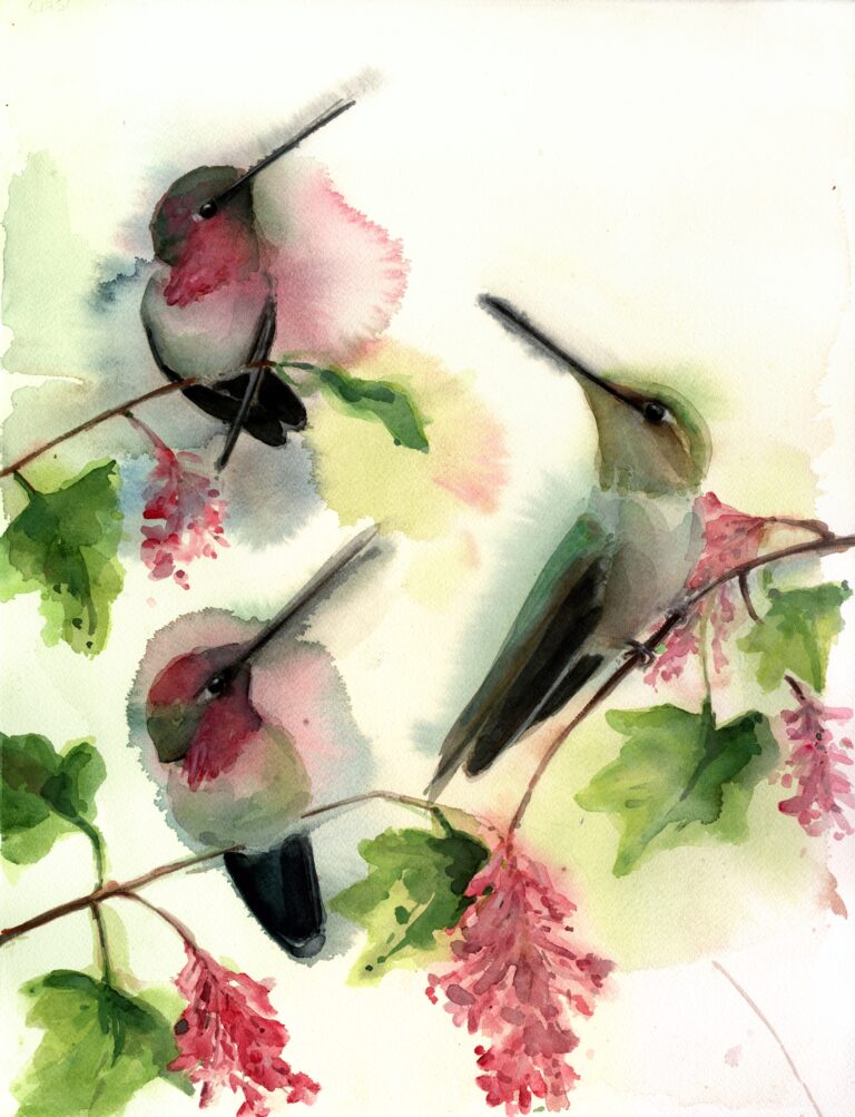 Hummingbird Trio