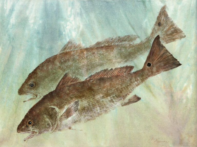 Cyndi Lanier gyotaku