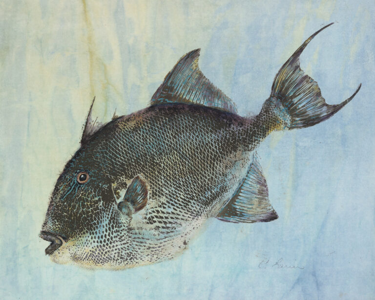 Cyndi Lanier gyotaku